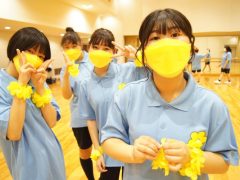 SONY DSC
