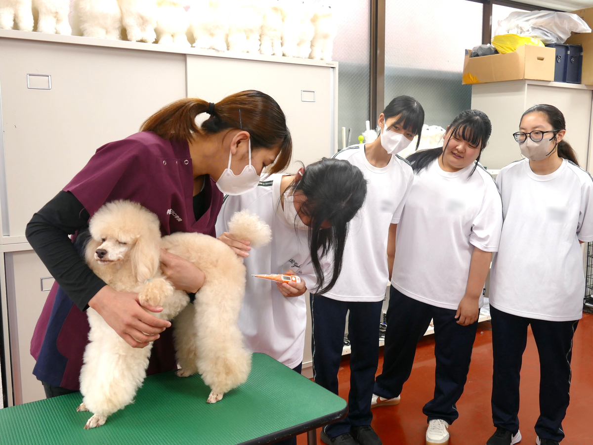 専門学校の連携授業（ペット･エステ）